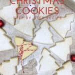 Alsatian Christmas cookies sprinkled with icing sugar, tied with twine and holiday decorations: Pin with text