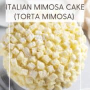 Assembled Mimosa cake on a serving platter: Pin with text.