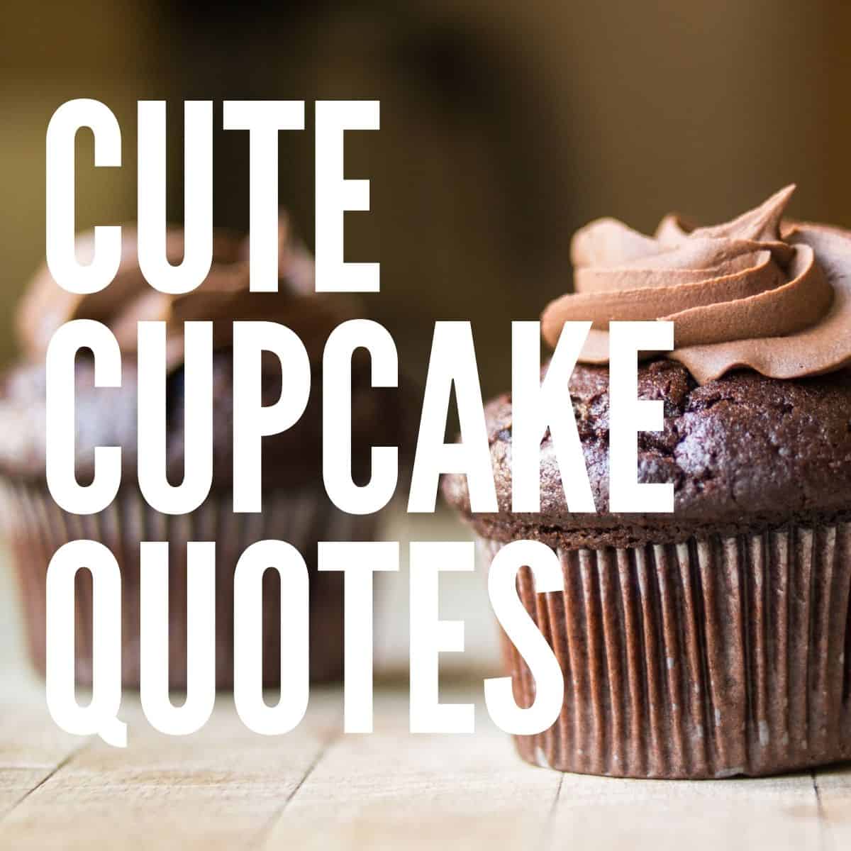 Chocolate cupcake with frosting and overlaying text