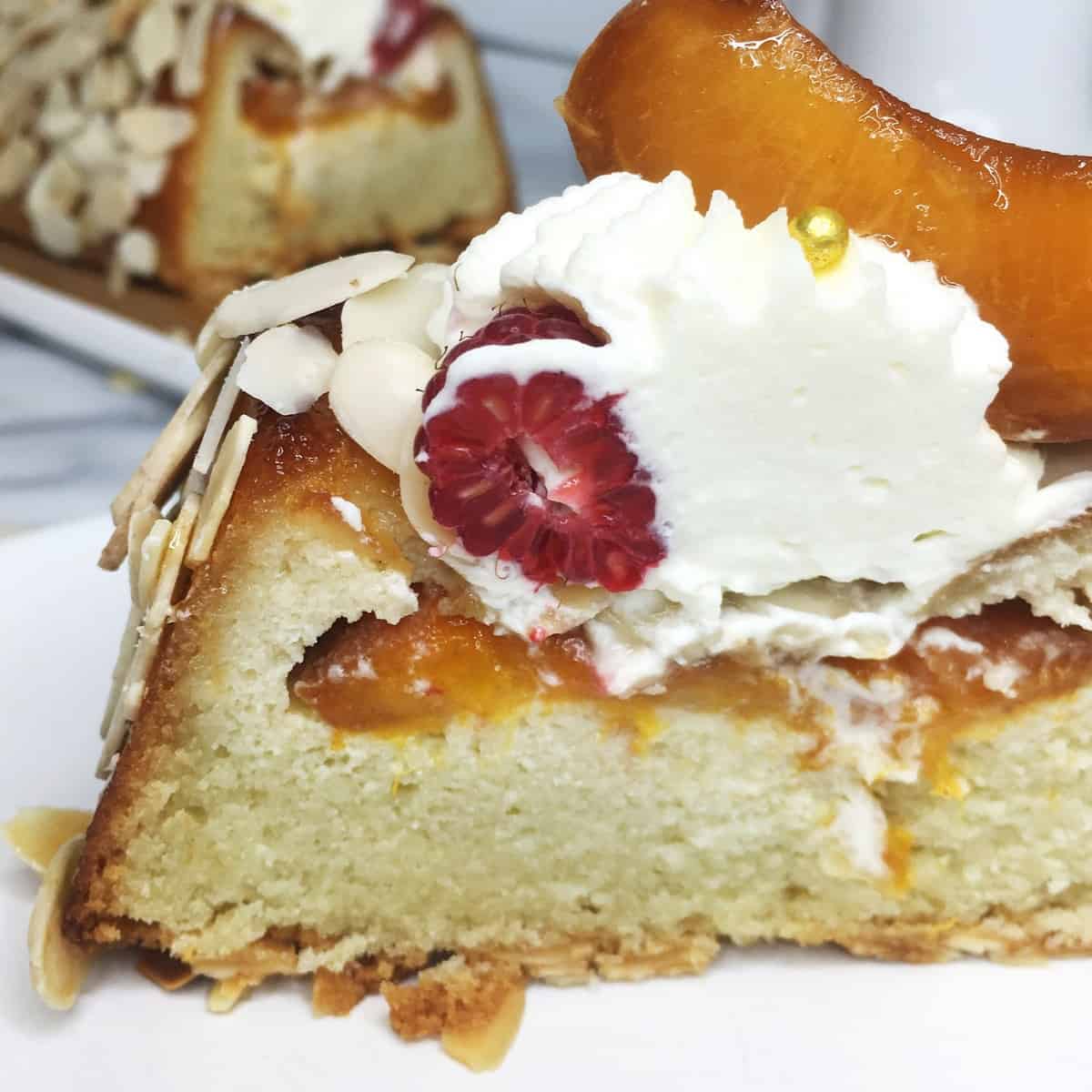 A slice of French apricot cake topped with fresh fruit and whipped cream: Close up