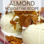 Ice cream topped with nougatine on a red plate: Pin with text.