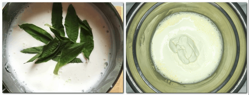 Photo 3: Milk mixture with verbena leaves on top in a bowl Photo 4: Whipped cream on top of milk mixture in a bowl