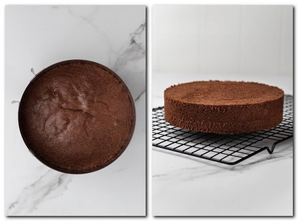 Photo 5: Baked chocolate cake in a pan Photo 6: Chocolate sponge on a wire rack 